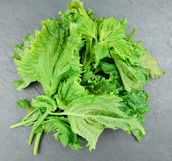 🍃Shiso Vert - Vrac