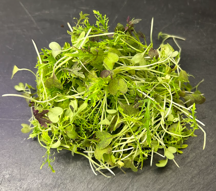 🌿Mizuna Rouge -Barquette JP 50G
