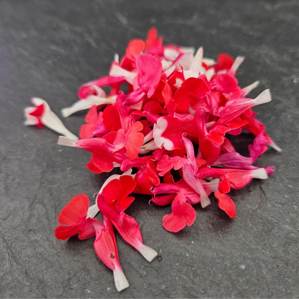 🌸Sauge R&B - Barquette de Fleurs