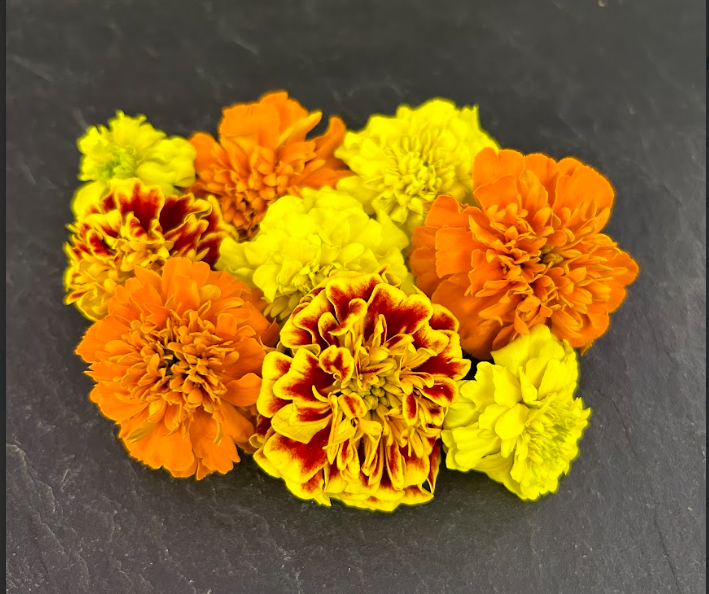 🌸Tagète multiple - Barquette de Fleurs