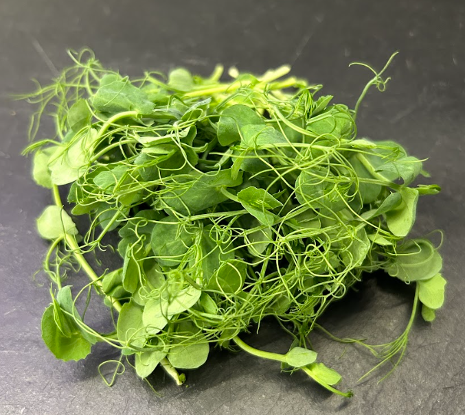 🌱Pois - Barquette MP 50g