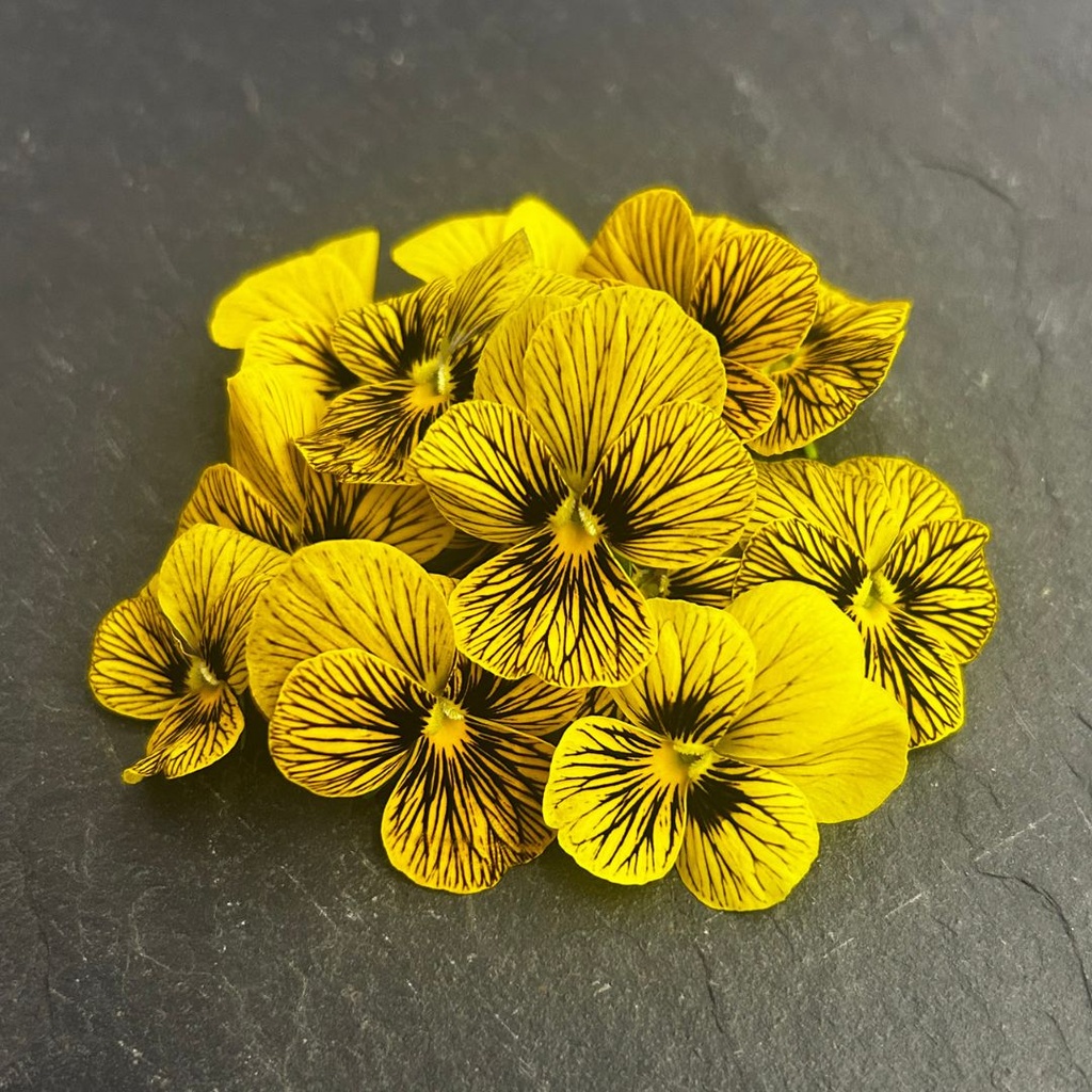 🌸Pensée Jaune tigrée - Barquette de Fleurs