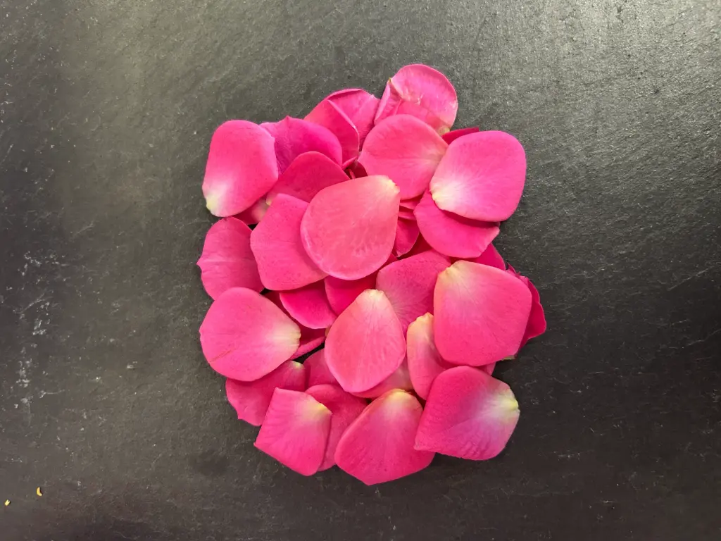 🌸Pétales de Roses Rose - Barquette de Fleurs