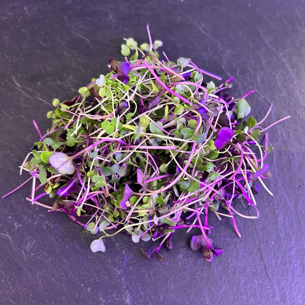 🌱Floral Mix - Barquette MP 45g  
