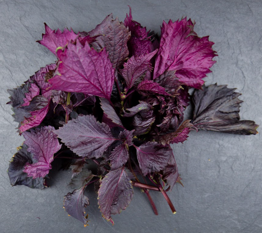 [02A0035000] 🍃Shiso Pourpre - Vrac