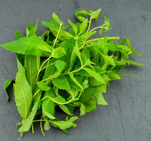 [02A0024000] 🍃Verveine Citronnelle - Vrac