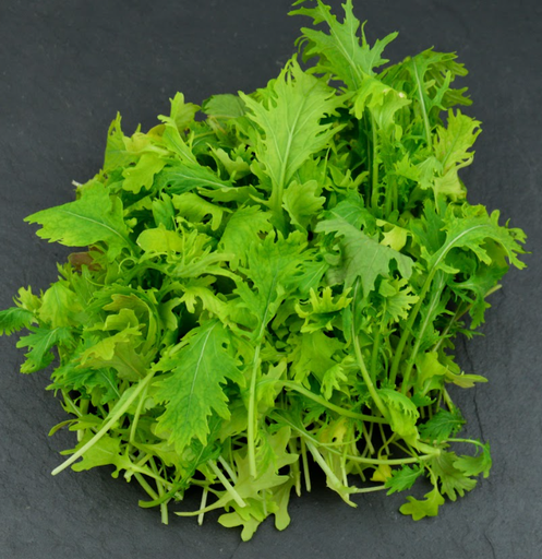 [02M1023100] 🌿Moutarde Blanche - Barquette JP 50G