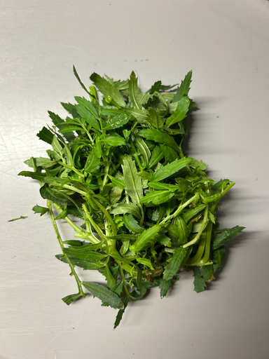 [02A0188100] 🍃Feuilles de Tagète - Barquette 15g