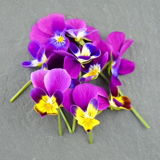 [02F0176100] 🌸Pensée Sauvage - Barquette de Fleurs