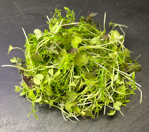 [02M1036100] 🌿Mizuna Rouge -Barquette JP 50G