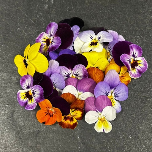 [02F0109100] 🌸Pensée Mixte - Barquette de Fleurs