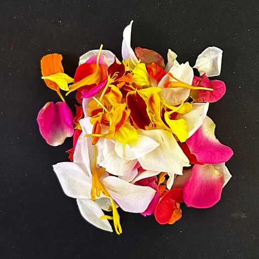 [02F9002100] 🌸Pétales - Barquette de Fleurs