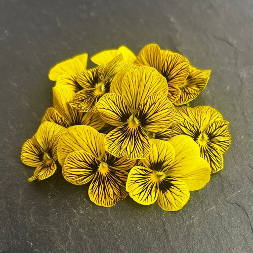 [02F0186100] 🌸Pensée Jaune tigrée - Barquette de Fleurs