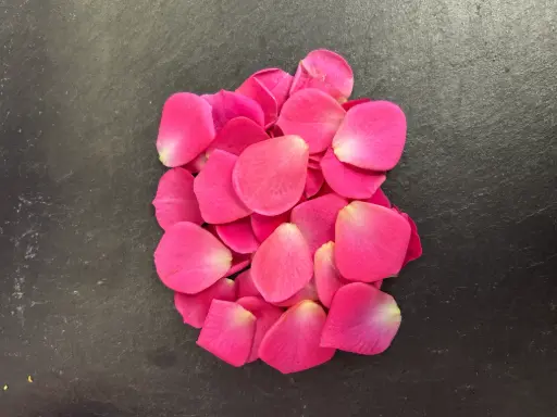 [02F0137100] 🌸Pétales de Roses Rose - Barquette de Fleurs