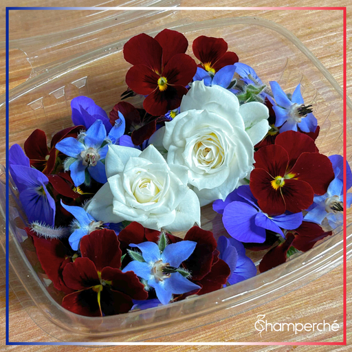 [02F9006100] 🌸Bouquet Festif - Barquette de Fleurs