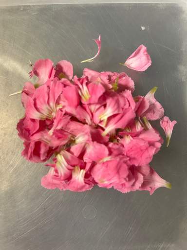 🌸Mix Pétales Couleur Rose - Barquette de Fleurs 
