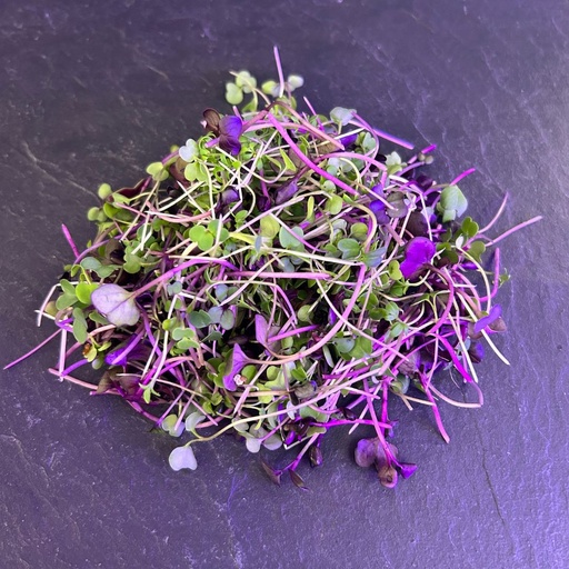 [02M1053101] 🌱Floral Mix - Barquette MP 45g  